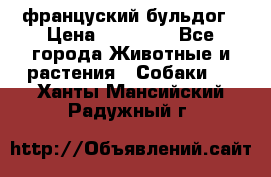 француский бульдог › Цена ­ 40 000 - Все города Животные и растения » Собаки   . Ханты-Мансийский,Радужный г.